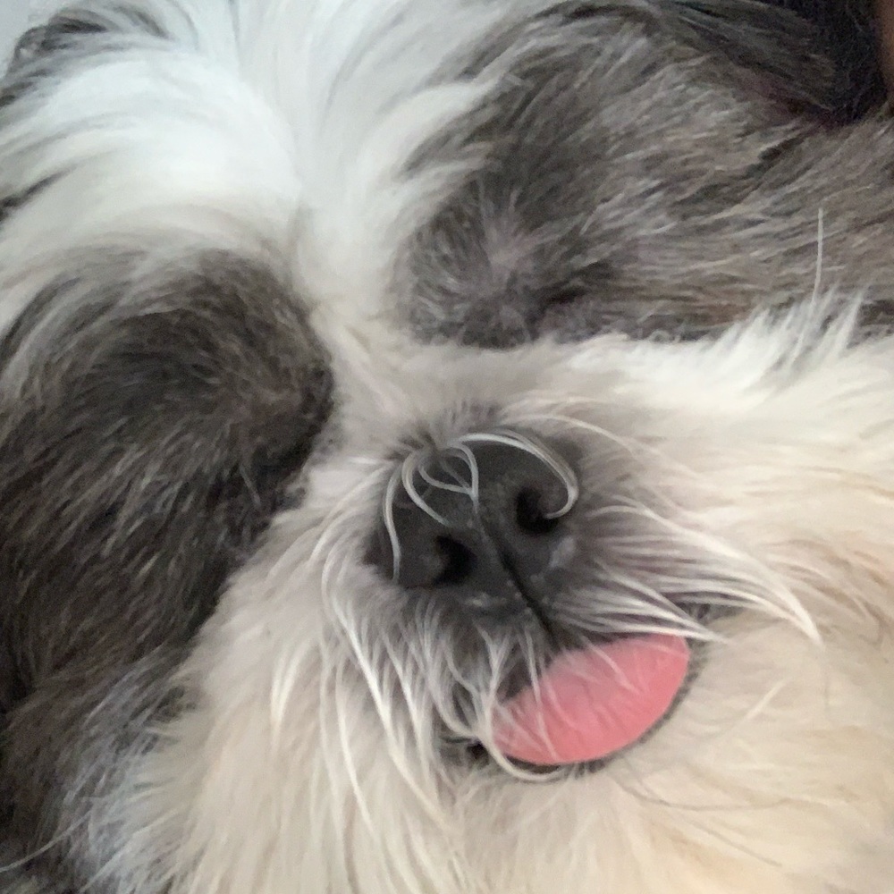 Meet your Posher, Kimberly